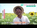 目指すは《日本一のヒマワリ畑》!若手農家が70人の住民とつくり上げた「幸せを感じる空間」【高知】 (25/07/03 19:26)