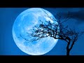 ALERT TODAY! SUPER BLUE MOON IS COMING (August 30 2023)
