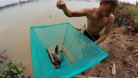 Primitive Technology-Making Trap To Catch Catfish Using Bamboo To Lure Fish Trap Work100%