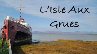 On découvre l'Isle-Aux-Grues, et ses milliers d'oies des neiges! Montmagny, Québec, Canada