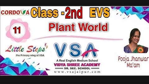 class -2 || EVS || Chapter 11 || Plant World