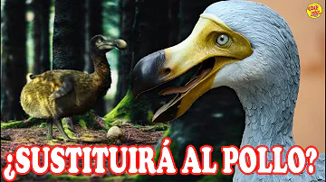 ¿Sigue vivo el pájaro dodo en 2023?