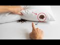 This Simple Clove Trick Will Make You Sir Better TONIGHT