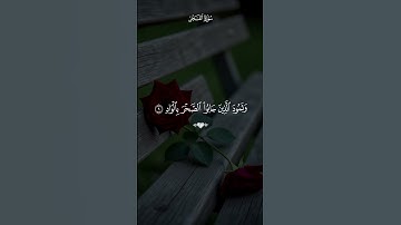 سورة الفجر بصوت القارئ ماهر المعيقلي 💙