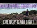 Landscape Photography at Roydon Common - Beautiful Heather and a Faulty Sony A73!!