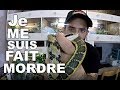 Je me suis FAIT MORDRE par une couleuvre ASIATIQUE ! [ Mon elevage partie 1 ]