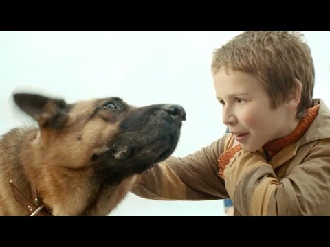モスクワと秋田を結ぶ少年と犬の感動的な物語／映画『ハチとパルマの物語』30秒特報