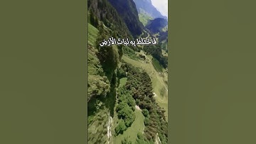 واضرب لهم مثل الحياة الدنيا كماء أنزلناه من السماء فاختلط به نبات الأرض سورة الكهف فارس عباد #قرآن