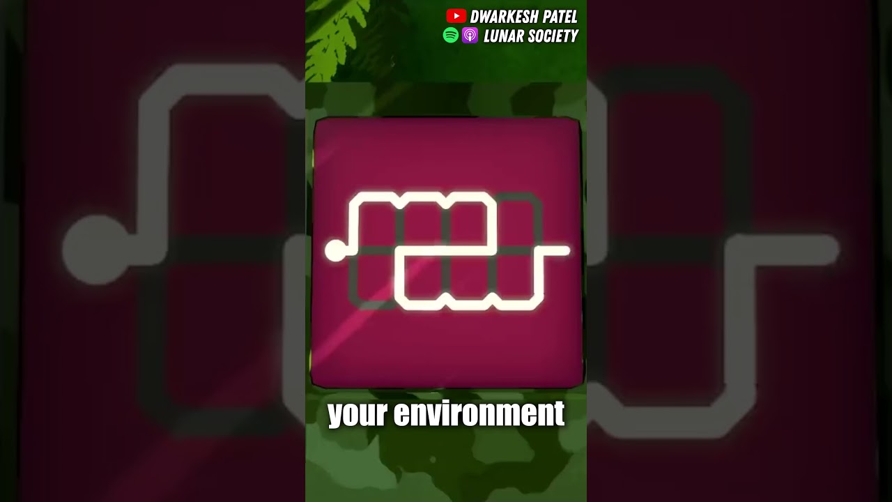 preview_player