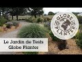 Le jardin de tests globe planter