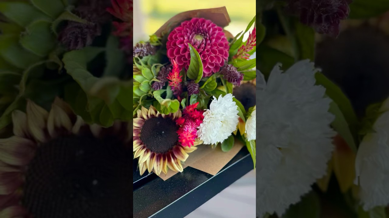 Day 3 💐 10 Days of Late Season Bouquets 💕Zone 5 👩🌾 #cutflowers #flowerfarming #dahlias