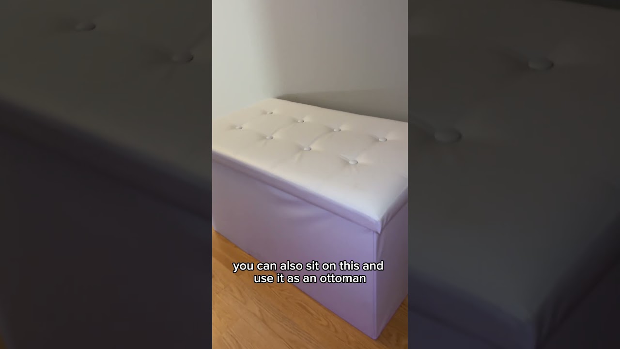 How I Hide My Cat's Litterbox! 