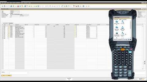 SAP Business One Production with WiSys WMS