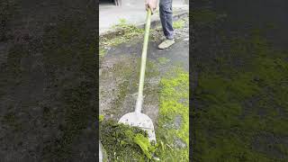 Say goodbye to slippery ground! Moss cleaning tool test, simple and efficient