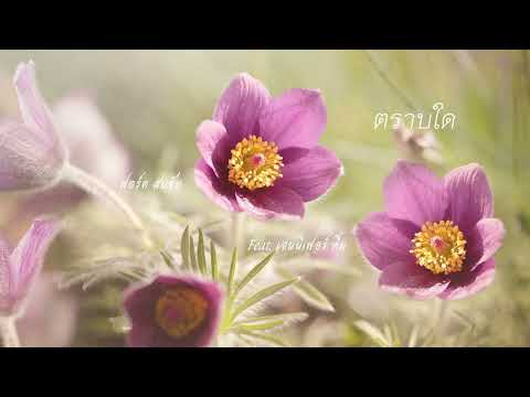 ตราบใด ❀ เจนนิเฟอร์ คิ้ม