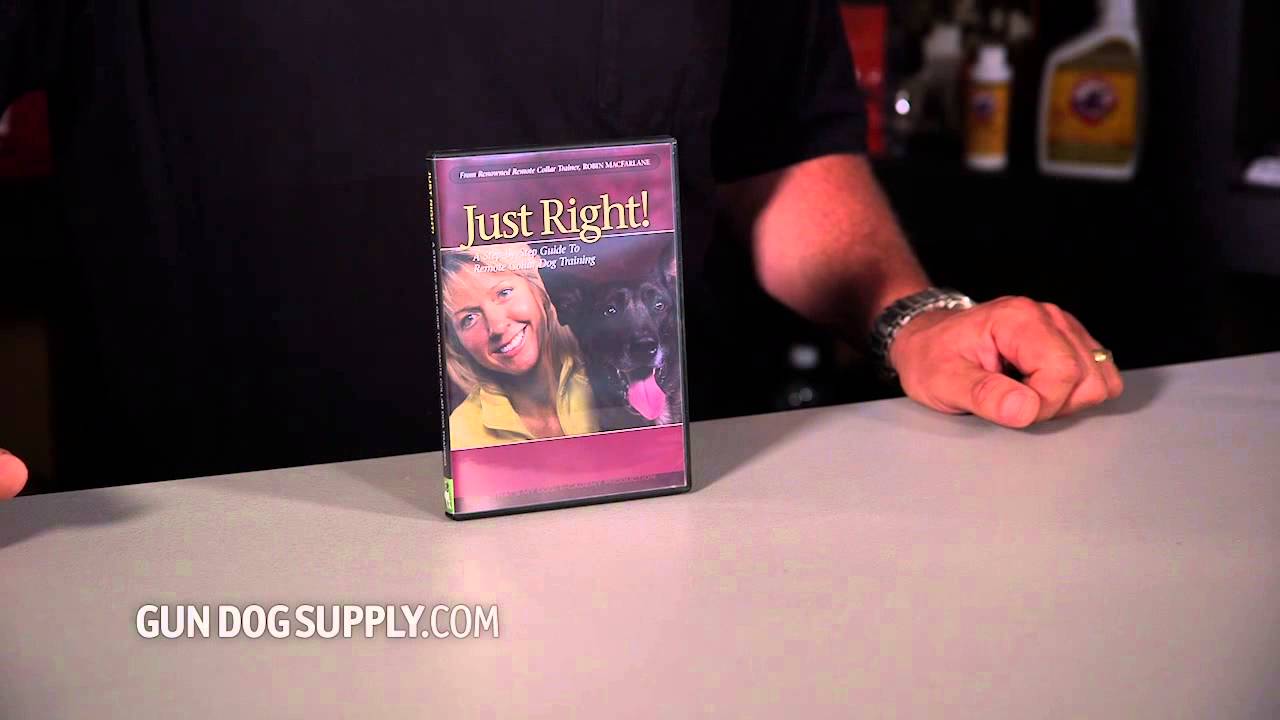 Robin MacFarlane: Just Right DVD sportdog yard trainer