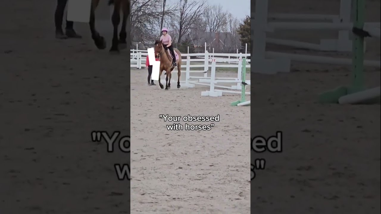 Ok U Got Me There Check Community Horse Equestrian Lol Jumping Funny Meme Shorts
