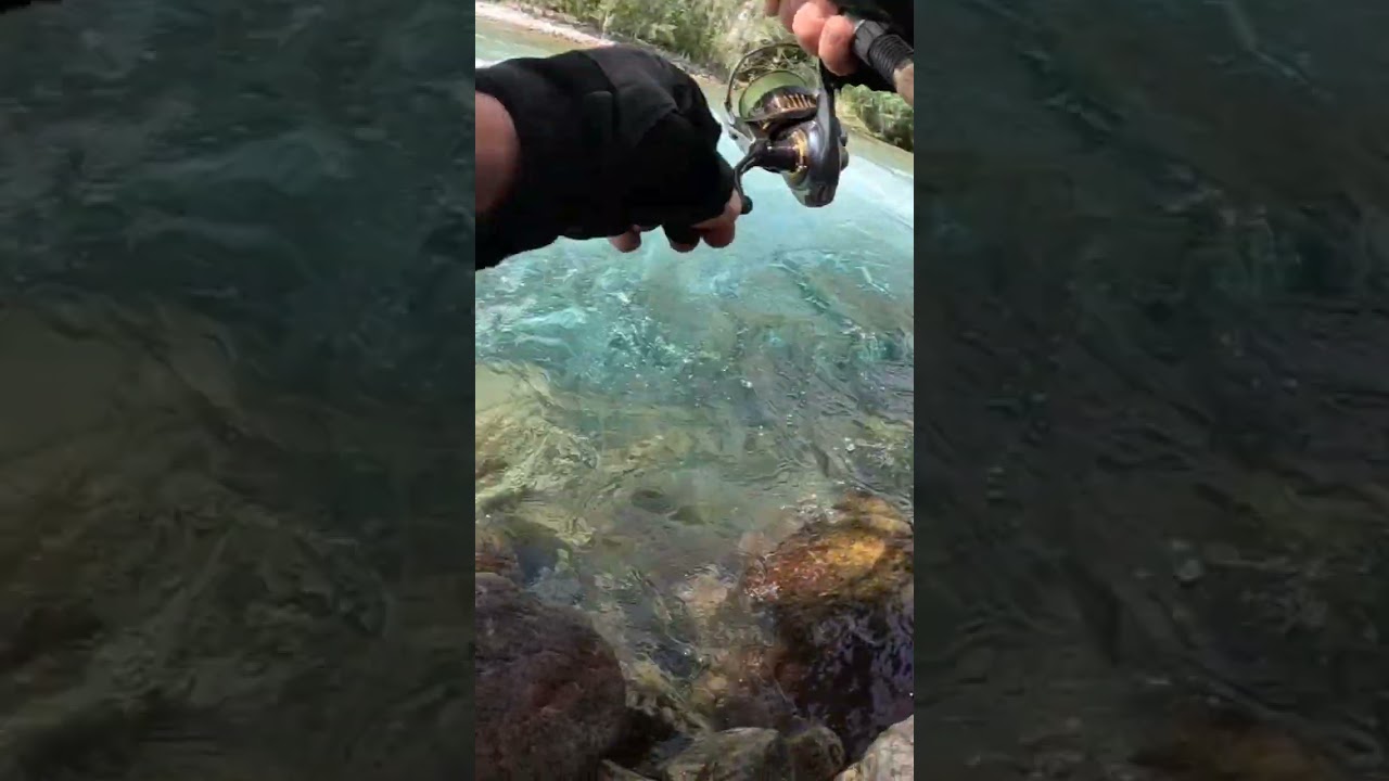 Рыбалка на Коксу с сыном 