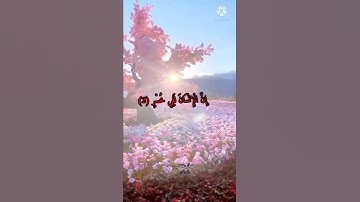 سورة العصر في تلاوة خاشعة للشيخ سعد الغامدي