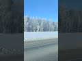 Зима в сердце Сибири #алтай #алтайскийкрай #altay #altai #барнаул #barnaul #russia #лучшее  #сибирь