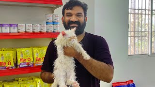 മിന്നുവിനെ കൊണ്ട് SPA യിൽ പോയീ  | Ebadu  Rahman  Cat