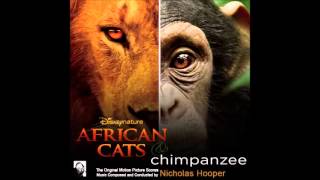 African Cats - Main Les.