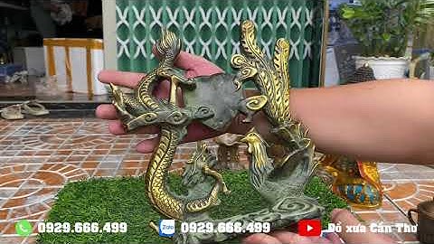 🔴 Mâm ngủ quả - clip ngày 03/11/2022 | Đồ xưa Cần Thơ #đồcổ #đồcổcầnthơ #doxua #doxuacantho