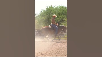 Remember a reining horse needs to be soft in the front but still hold the ground behind.  #reining #