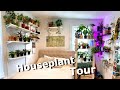 Houseplant Tour - more than 100 plants in one room!