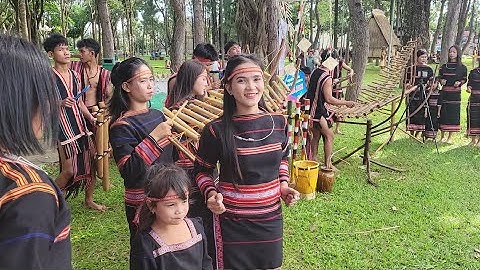 Hòa tấu đàn tơrưng thật sôi động của đoàn nghệ nhân plơi Chuêt Chư Á...