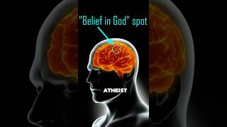 🧬 Frank Turek vs Alex O’Connor about God and Rationality! #Shorts