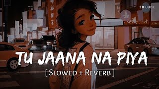 Tu Jaana Na Piya (Slowed   Reverb) | King | New Life | SR Lofi