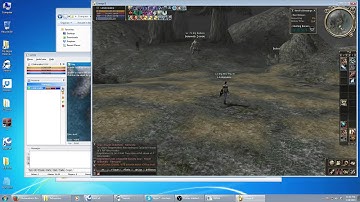 Showing how to use Adrenaline for Lineage 2 - 9 / 15
