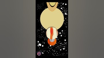 Forthcoming opentoonz animation with souful beats #shorts #beats #opentoonz #animation