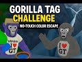 Gorilla Tag Challenge: No-Touch Color Escape to Mountains! 🟢🔵 (Meta Quest 3 VR Gameplay)