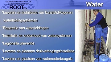 Root BV - Powered by WenS Online