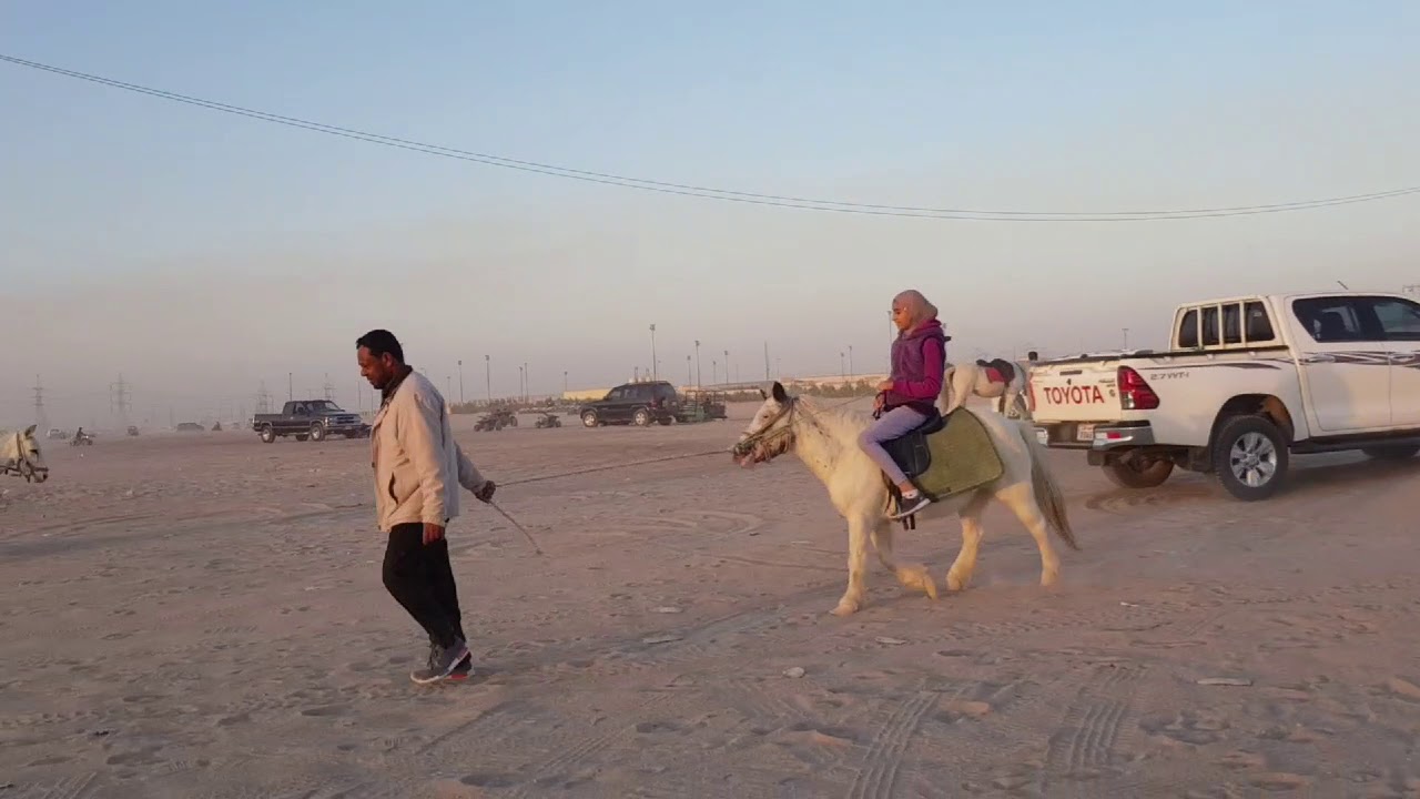 ركوب الخيل في الكويت horse riding in kuwait YouTube