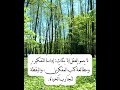 لا ينمو العقل إلا بثلاث إدامة التفكير ومطالعة كتب المفك رين واليقظة لتجارب الحياة