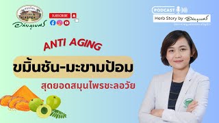 ชมิ้นชัน มะขามป้อม สุดยอดสมุนไพรชะลอวัย l Podcastอภัยภูเบศร (2023)