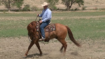 Dealing with Excess Energy in a Horse