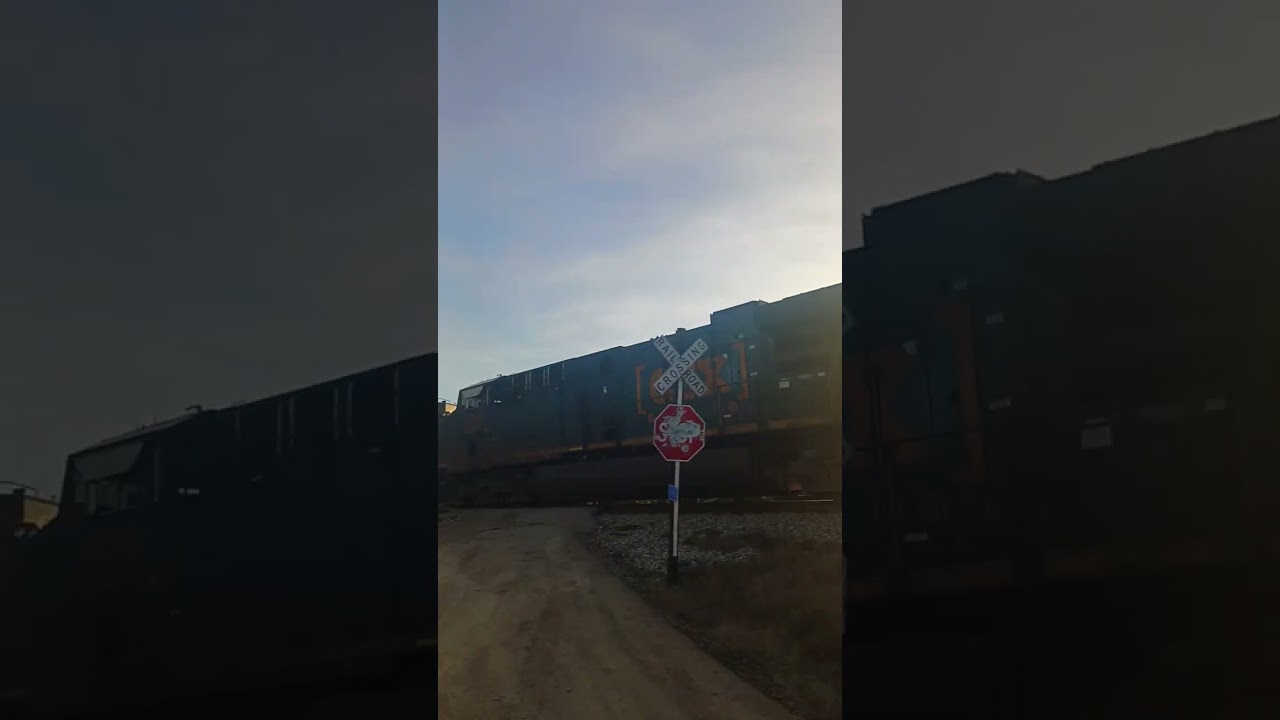 train going through Robert's rd Arrington Tennessee with middle Tennessee railfanning