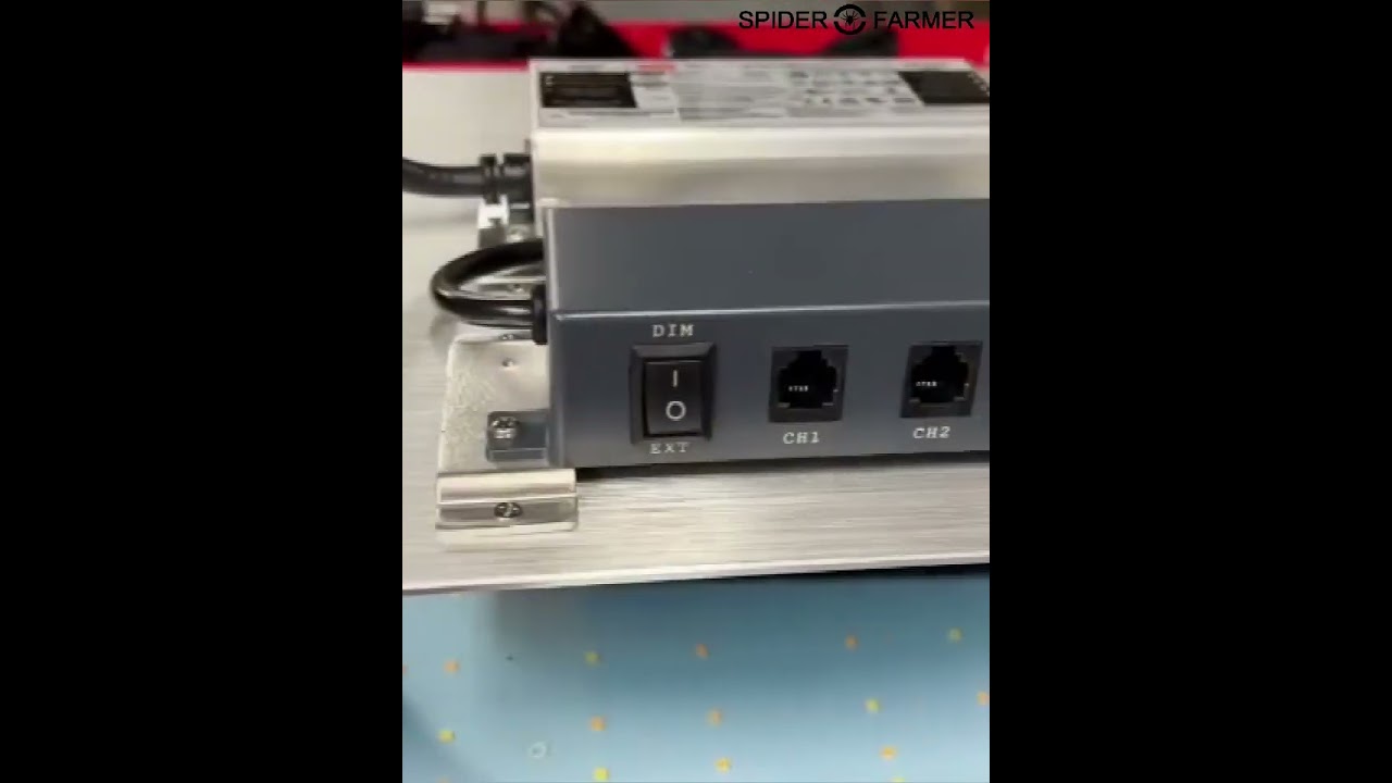 Facing the Spider Farmer SF1000 and thriving