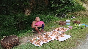 Gặp ông cụ "Già Tiên" 88 tuổi bán "Quả Lửa" đồ rừng rất ngon, trên đường đi Tắp Ná, Nguyên Bình