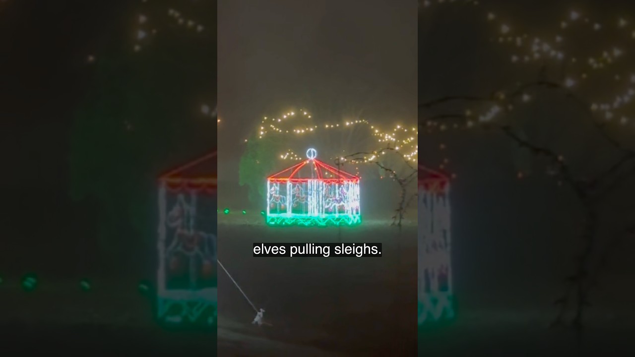 ☃️WINTER WONDERLAND☃️ #youtube #christmas