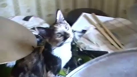 BUSTED HEAD RACKET - "CLOWNING" (Official video)