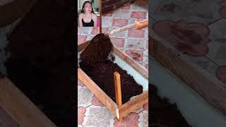 Would You Try This Mini Greenhouse Garden Hack? 🌿👀 #short
