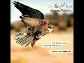 نطيح من عثرات الايام ونقوم وتزيدنا الطيح شموخ وكرامة ونواجه الدنيا بصملات وعزوم ولا هزنا هرج الردي 