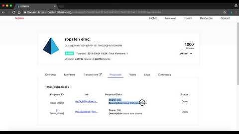Issue shares on eInc organization | Ethereum Fork | DAO