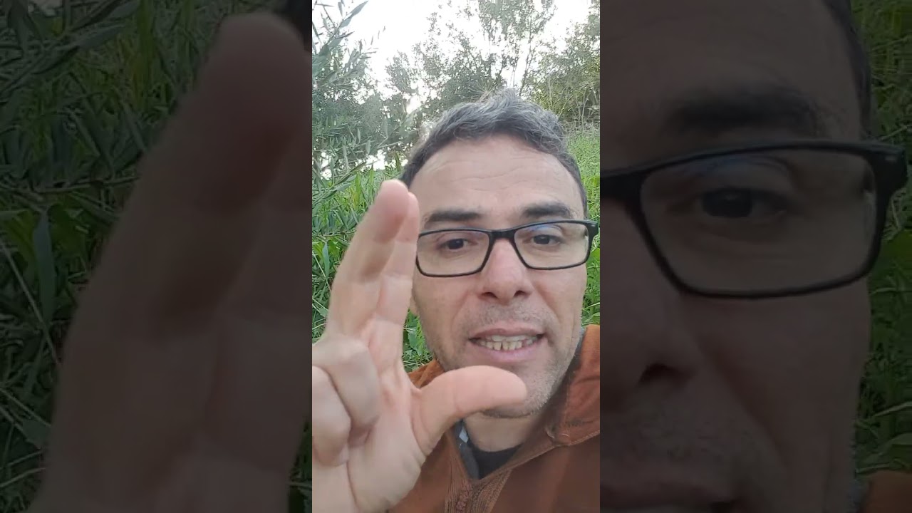 كول من طبسي واحد تحس بلذة الاكل (احسن نصيحة حاول تبعها )❤♥️