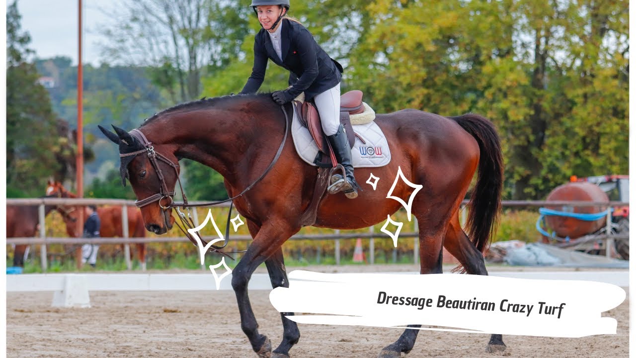 Reprise des concours avec Crazy Turf en dressage club 2 GP et club 3 GP